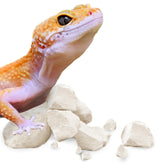 Meric CoCoo Mineral Rocks enrich gecko habitat with natural texture and hiding spaces.