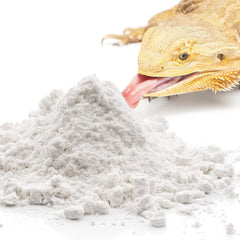 Meric CoCoo reptile calcium powder self-feed dish promotes easy calcium intake.