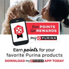 Merrick Purina T-Bonz filet mignon treats breakable for small dogs.
