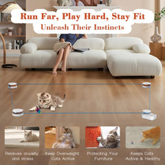 Metiya Cat Treadmill auto mode demonstrates dynamic prey-like movement for engagement.