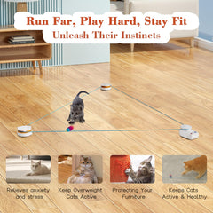 Metiya interactive cat toy auto-manual-modes demonstrates auto mode with random speeds and manual control.