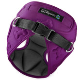 Metric USA Comfort Fit dog harness close-up padded strap for comfortable daily walks
