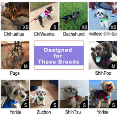 Metric USA Comfort Fit harness step-in design promotes easy on-and-off during outings