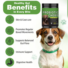 Meukgag dog probiotic chews in chicken flavor for easy feeding and digestion.