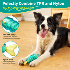 MewaJump primary-color-dog-toy captivates with color-mixing design.