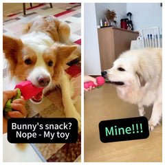 MewaJump squeaky carrot toy with inside sound for interactive play.