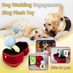 Mewcho ring-box opening shot demonstrates discovery play during pet-friendly wedding or birthday celebrations.