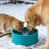 MEWTOGO 3.2L heated water bowl outdoors keeps pets hydrated in cold weather