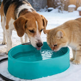 MEWTOGO 3.7L heated water bowl for outdoor dogs and cats maintains hydration in cold weather
