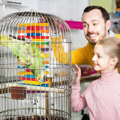 MEWTOGO knots-and-wood-pieces toy promotes interactive dismantling play