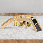 MEWTOGO guinea pigs hammock platform with dual hammocks for secure play.