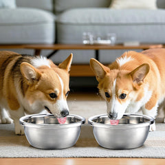 MEWTOGO stainless steel dog bowls dishwasher-safe for easy cleaning