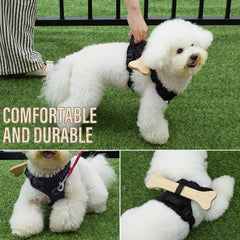 MFC harness with metal D-ring for secure leash attachment