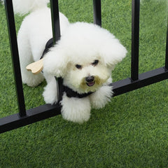 MFC harness with wooden bone blocks escapes for small dogs in outdoor spaces