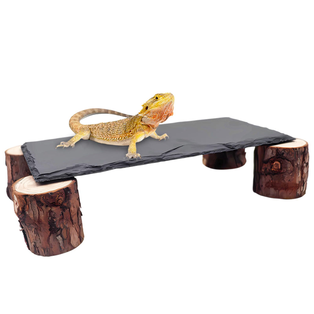 MHLLGN basking platform with slate-rock detail supports warm basking sessions
