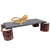 MHLLGN basking platform with slate-rock detail supports warm basking sessions
