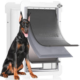 MIAOTONG 3-Flap wall door exterior view shows sturdy build for large pets and easy access.
