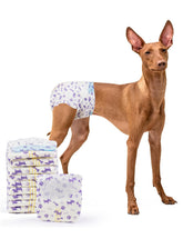 Micoooyo disposable dog diapers female large 20-count pack shot for easy ongoing care