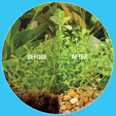 MICROBE-LIFT aquarium water clarity demonstration for healthier environment