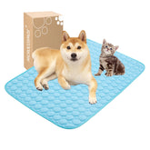 MICROCOSMOS Summer Cooling Mat blue top view shows cooling surface for all ages