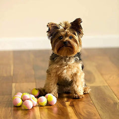 Midlee ball-launcher-compatible tennis balls for effortless automatic fetch sessions.