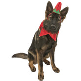Midlee elf dog hat with bell neck band front view for festive holiday photos.