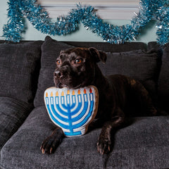 Midlee Menorah Sugar Cookie Dog Toy plush fabric detail highlights non-toxic materials.
