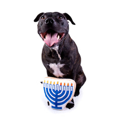 Midlee Menorah Sugar Cookie Dog Toy squeaker closeup emphasizes interactive play and excitement.