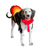Midlee turkey beard neck detail shows a comfy, festive fit for holiday photos.