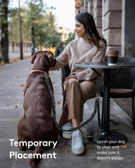 MIDOG car-seatbelt attachment secures your dog on car rides