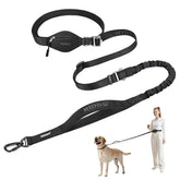 MIDOG hands-free leash in action during a sunny jog