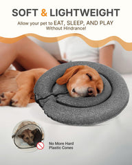 MIDOG inflatable donut cone on dog highlighting gentle protection for eating and drinking