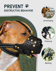 MIDOG leather muzzle design showcasing breathable ventilation for safe outings