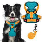 MIDOG No-Pull Harness front clip blue for safer daily walks