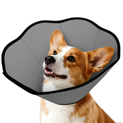 MIDOG soft cone collar surrounds a dog's neck to protect wounds.