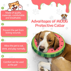 MIDOG donut e-collar with breathable fabric provides gentle comfort while healing.