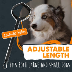 Mighty Paw aviation-grade carabiner closeup highlights durable safety hardware.