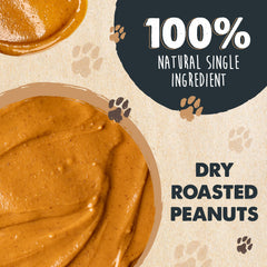 Mighty Paw Bark'n Butter dog tasting the spread during treat-time