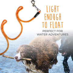 Mighty Paw Check Cord reflective stitching boosts night visibility for safer outdoor training