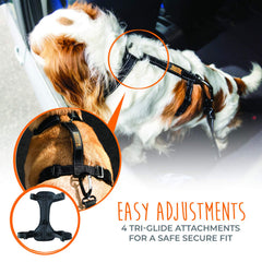Mighty Paw Dog Car Harness reflective stitching aids visibility during evening walks.