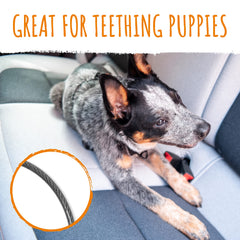 Mighty Paw dog seat belt harness-attachment demonstrates quick harness-link for stable, distraction-free road trips.