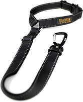 Mighty Paw dog seat belt headrest attachment secures pets for safer car rides.