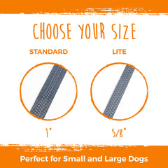 Mighty Paw double leash tangle-free attachment prevents snarls during walks.