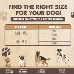 Mighty Paw Half Pig Ears large-dogs image demonstrates substantial chew for bigger dogs