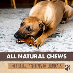Mighty Paw Half Pig Ears small-dogs image shows size-appropriate treat for small breeds