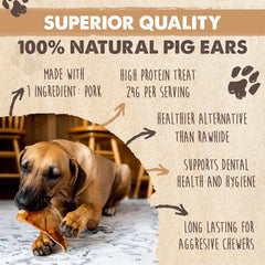 Mighty Paw Half Pig Ears thick-chew image highlights durable chew for satisfying dog cravings