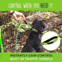 Mighty Paw Hands Free Dog Leash reflective threading visible at night for safer evening walks