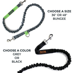 Mighty Paw hands-free leash bungee tether in action absorbs shocks