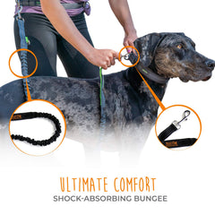 Mighty Paw hands-free leash while running with a dog