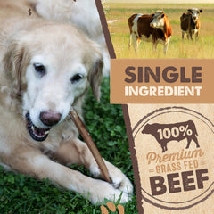 Mighty Paw lower-odor bully sticks package highlights cleaner home use.